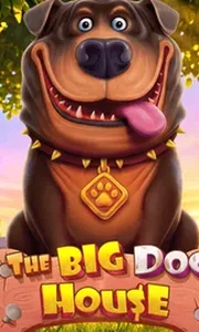 The Big Dog House